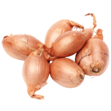 Cebolla chalota